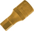 20196bf3e7114e2be321af28f2b80421