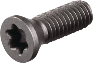 Śruba mocująca US3510 wielkość T15 TECWERK
