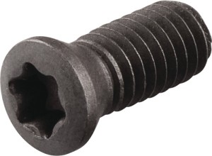 Śruba mocująca WS0620-S4 TECWERK