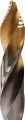 ae4aa9b6299773cdf64118f66d6ffe77