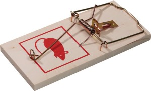 Pułapka zatrzaskowa pułapka na szczury 170 x 80 x 10 mm