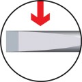afe5861556a0fcc072c5e024b8c55fdc