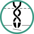 46413363aeb1e78138e4ac3e93148e70