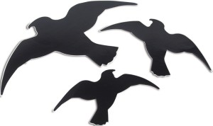 Sylwetka ptaka Easy Sticker 3 szt. WINDHAGER